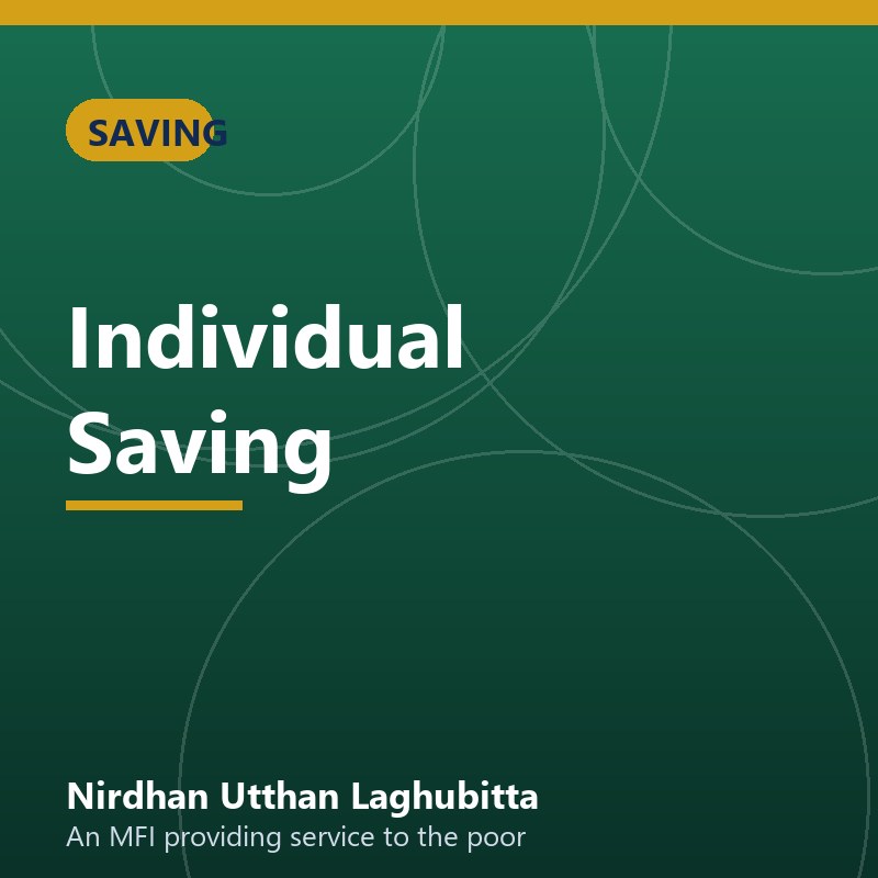 Individual Saving