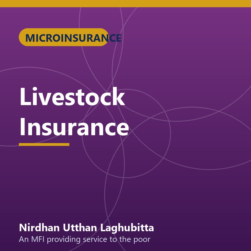 Livestock Insurance