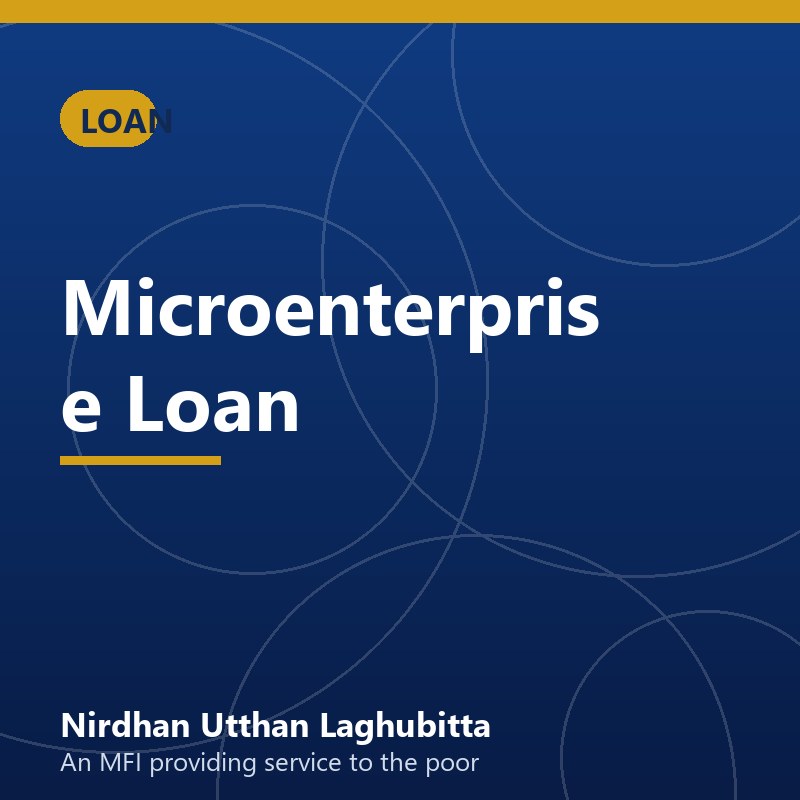 Microenterprise Loan